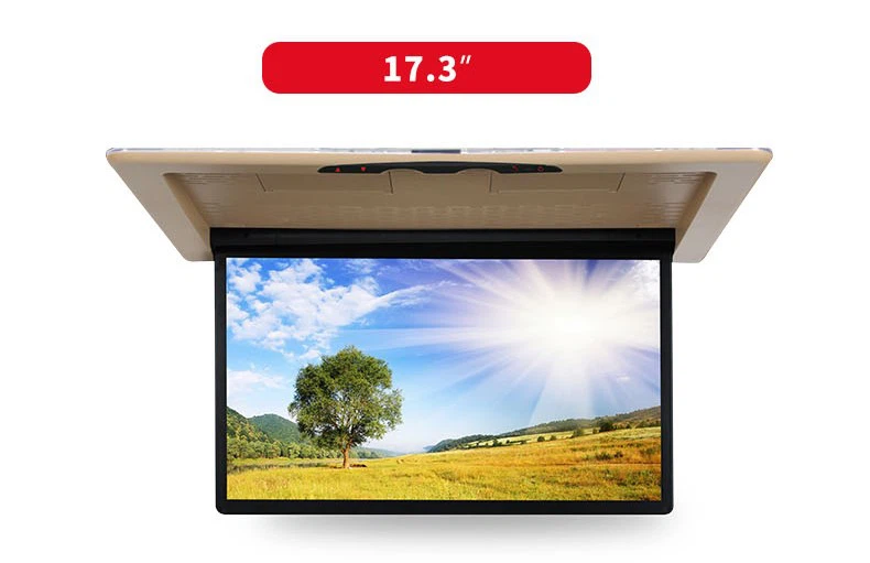 The size of the car flip down monitor for Vito is 173 inches