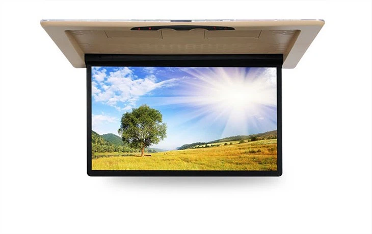 Car Flip Down Monitor